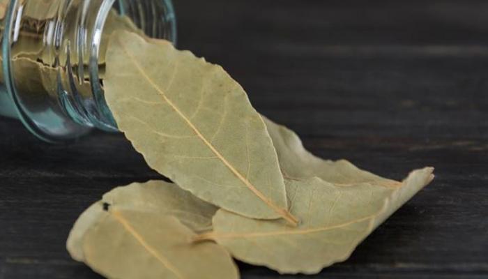 benefits of spices bay leaf in hindi | सिर्फ एक तेज पत्ता रोज खाएं, असर देखकर हैरान रह जाएंगे आप