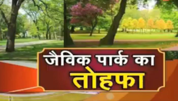 रघुवर सरकार ने गोड्डा के लोगों को दिया जैविक पार्क का तोहफा रघुवर सरकार ने गोड्डा के लोगों को दिया जैविक पार्क का तोहफा