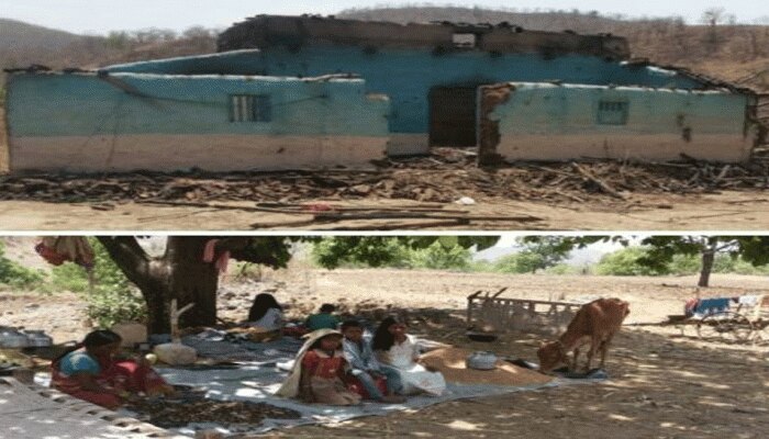 MP: बैतूल में आदिवासी परिवार का आशियाना बना पेड़ की छांव MP: बैतूल में आदिवासी परिवार का आशियाना बना पेड़ की छांव