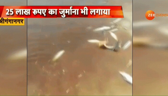 सावधान ! राजस्थान में पंजाब से आ रहा है जहरीला पानी सावधान ! राजस्थान में पंजाब से आ रहा है जहरीला पानी