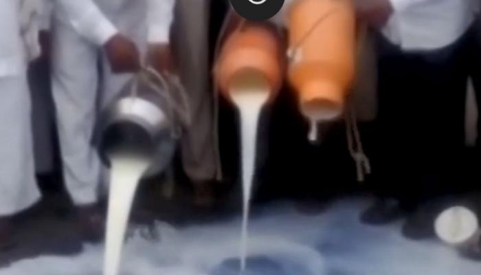 मप्र: आंदोलन के दौरान सड़क पर दूध बहाना किसानों को पड़ा महंगा, हुए गिरफ्तार मप्र: आंदोलन के दौरान सड़क पर दूध बहाना किसानों को पड़ा महंगा, हुए गिरफ्तार