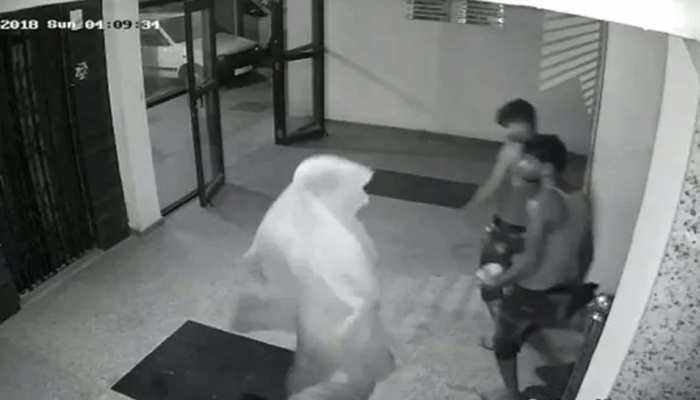 घर में चोरी करने घुसे तो CCTV देख करने लगे ये काम, VIDEO वायरल घर में चोरी करने घुसे तो CCTV देख करने लगे ये काम, VIDEO वायरल