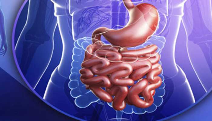 पिछले 20 साल के अंदर Rectum कैंसर के मरीजों की संख्या बढ़ी पिछले 20 साल के अंदर Rectum कैंसर के मरीजों की संख्या बढ़ी