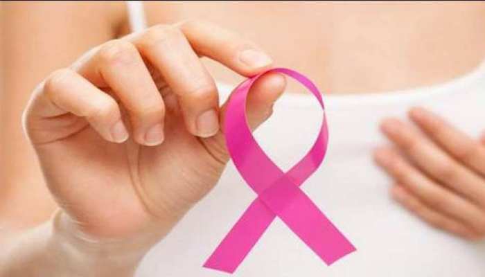 वायु प्रदूषण से महिलाओं में ब्रेस्ट कैंसर का खतरा, रिसर्च से खुलासा वायु प्रदूषण से महिलाओं में ब्रेस्ट कैंसर का खतरा, रिसर्च से खुलासा
