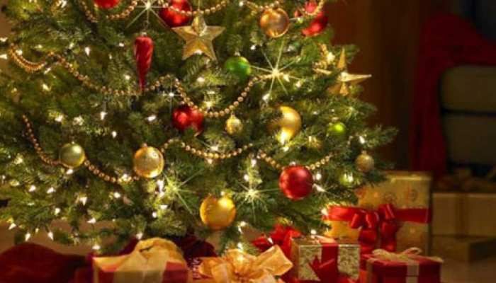 Festive Destination : क्रिसमस पर देश की इन जगहों पर घूमना पसंद करते हैं लोग Festive Destination : क्रिसमस पर देश की इन जगहों पर घूमना पसंद करते हैं लोग