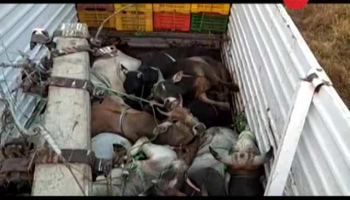 Video: Uncontrolled truck rammed into a house, 7 people dead