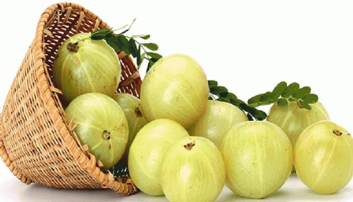 सर्दियों में डैंड्रफ ने कर दिया है परेशान, तो शैम्पू नहीं यूज करिए आंवला सर्दियों में डैंड्रफ ने कर दिया है परेशान, तो शैम्पू नहीं यूज करिए आंवला
