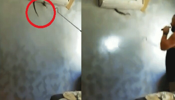 VIDEO : बेडरूम के एसी में छुपा था सांप, देखते ही कपल की निकली चीख-पुकार VIDEO : बेडरूम के एसी में छुपा था सांप, देखते ही कपल की निकली चीख-पुकार