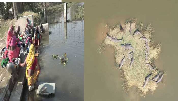भारत की एक ऐसी जगह जहां इंसान और मगरमच्छ रहते हैं साथ- साथ भारत की एक ऐसी जगह जहां इंसान और मगरमच्छ रहते हैं साथ- साथ