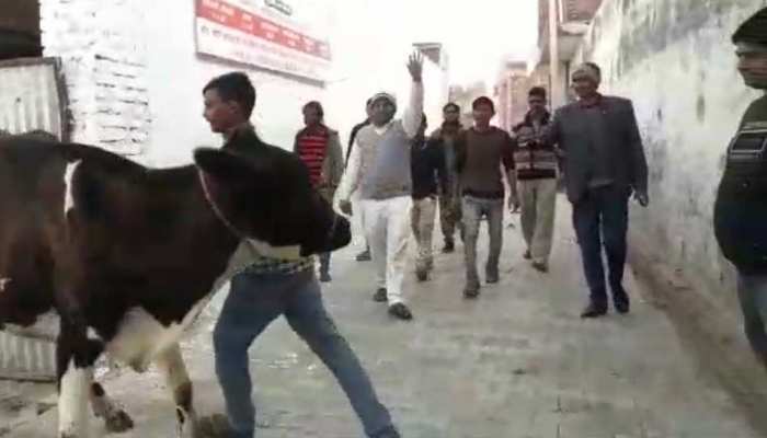 अलीगढ़ः नौशाद खां, जिन्होंने अपनी 2000 वर्गमीटर जमीन पर बनाया बेसहारा गायों के लिए बसेरा अलीगढ़ः नौशाद खां, जिन्होंने अपनी 2000 वर्गमीटर जमीन पर बनाया बेसहारा गायों के लिए बसेरा