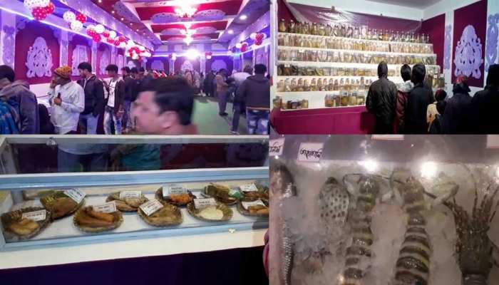 पं बंगालः दीघा में शुरू हुआ 'Sea Food Festival', मछलियों की 180 प्रजातियों की प्रदर्शनी पं बंगालः दीघा में शुरू हुआ 'Sea Food Festival', मछलियों की 180 प्रजातियों की प्रदर्शनी