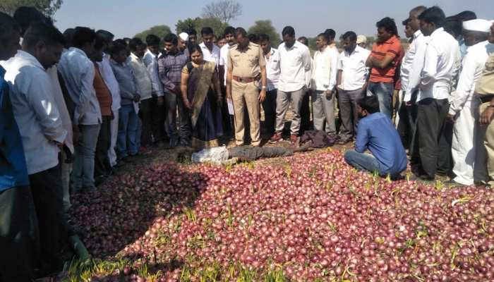 नासिक: प्याज के दाम गिरने से दुखी किसान ने जहर पीकर किया सुसाइड नासिक: प्याज के दाम गिरने से दुखी किसान ने जहर पीकर किया सुसाइड