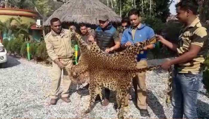 चीते की खाल की तस्करी में 5 युवक गिरफ्तार, टास्कफोर्स हेड ने किया गिरोह का भांडा फोड़ चीते की खाल की तस्करी में 5 युवक गिरफ्तार, टास्कफोर्स हेड ने किया गिरोह का भांडा फोड़