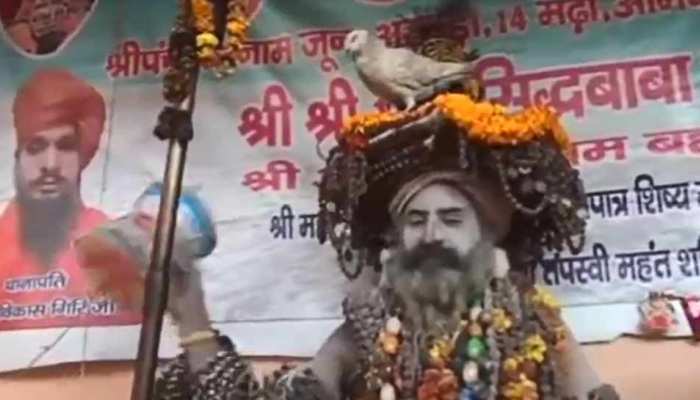 कुंभ में दिख रही बाबाओं की अजब-गजब दुनिया, जानकर आप भी हो जाएंगे हैरान कुंभ में दिख रही बाबाओं की अजब-गजब दुनिया, जानकर आप भी हो जाएंगे हैरान