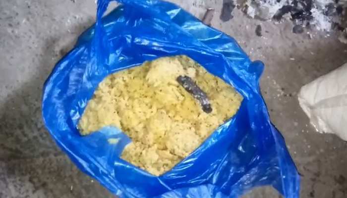 सरकारी स्कूल के मिड डे मील में मिला सांप, बावर्ची की सावधानी से बची बच्चों की जान सरकारी स्कूल के मिड डे मील में मिला सांप, बावर्ची की सावधानी से बची बच्चों की जान