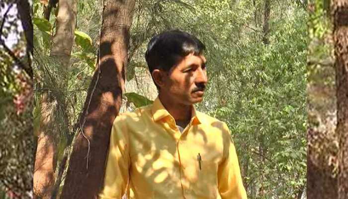 गुजरात: 9 साल पहले रोपे थे सफेद चंदन के एक हजार पौधे, अब होगी 30 करोड़ की कमाई गुजरात: 9 साल पहले रोपे थे सफेद चंदन के एक हजार पौधे, अब होगी 30 करोड़ की कमाई