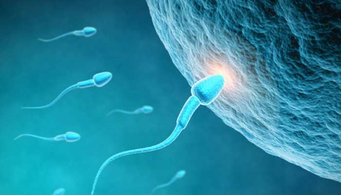 अब IVF तकनीक भी बच्चों के जन्म में हो रही फेल, जानें क्या हैं विफलता के कारण अब IVF तकनीक भी बच्चों के जन्म में हो रही फेल, जानें क्या हैं विफलता के कारण