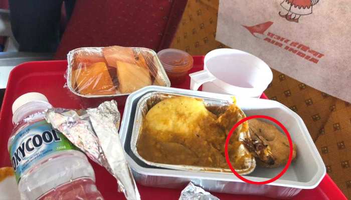 ब्रेकफास्ट में निकला था कॉकरोच, AIR INDIA ने कहा- 'इस घटना के लिए अपने यात्री से माफी मांगते हैं' ब्रेकफास्ट में निकला था कॉकरोच, AIR INDIA ने कहा- 'इस घटना के लिए अपने यात्री से माफी मांगते हैं'