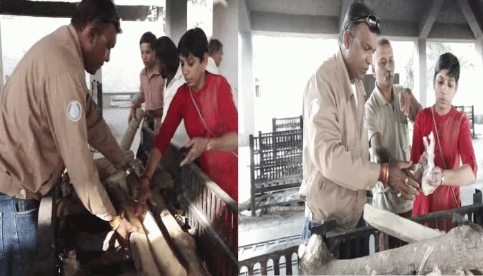गुजरातः ये महिला लावारिस लाशों का करती है अंतिम संस्कार, पूरी करती है हर रस्म गुजरातः ये महिला लावारिस लाशों का करती है अंतिम संस्कार, पूरी करती है हर रस्म