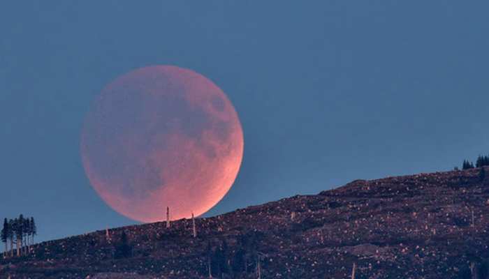 आज की रात चांद नहीं देखा तो क्या देखा, 30 फीसदी ज्यादा चमकीला और बड़ा दिखाई देगा आज की रात चांद नहीं देखा तो क्या देखा, 30 फीसदी ज्यादा चमकीला और बड़ा दिखाई देगा