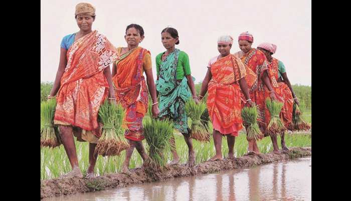 ओडिशा: तेल विपणन कंपनियां 10 हजार महिलाओं को बनाएंगी ‘उज्ज्वला दीदी’ ओडिशा: तेल विपणन कंपनियां 10 हजार महिलाओं को बनाएंगी ‘उज्ज्वला दीदी’
