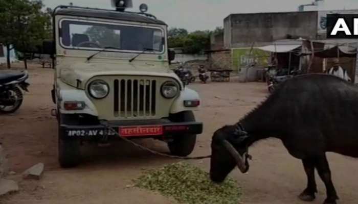 MP के किसान की अनोखी रिश्वत ने तहसीलदार के छुड़ाए पसीने MP के किसान की अनोखी रिश्वत ने तहसीलदार के छुड़ाए पसीने