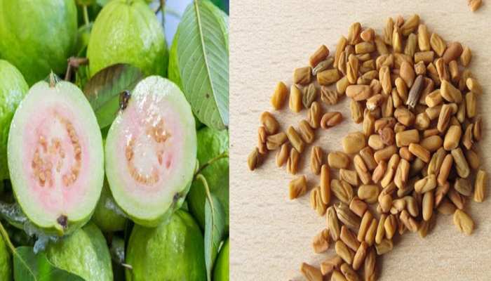 Health Tips: हाई प्रोटीन से भरपूर हैं ये चीजें, वजन घटाने में ऐसे करेंगी मदद Health Tips: हाई प्रोटीन से भरपूर हैं ये चीजें, वजन घटाने में ऐसे करेंगी मदद