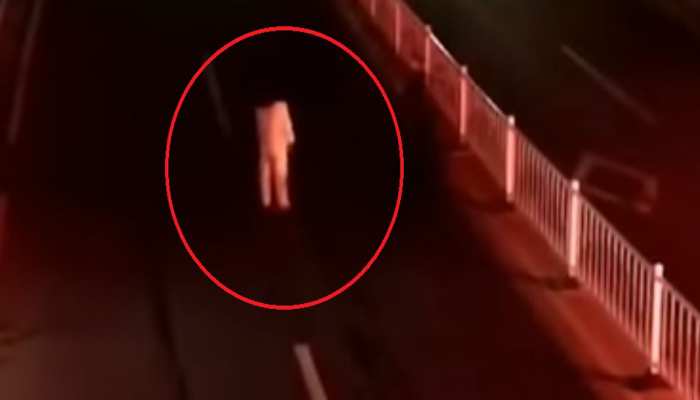 VIDEO: क्या पत्नी का प्यार सच्चा है, यह जानने के लिए सड़क पर उतर आया शख्स, फिर जो हुआ... VIDEO: क्या पत्नी का प्यार सच्चा है, यह जानने के लिए सड़क पर उतर आया शख्स, फिर जो हुआ...