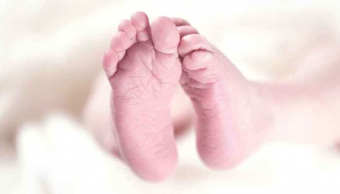 सिर्फ 9 मिनट और महिला ने 6 बच्चों को दिया जन्म, जानें कहां हुआ यह वाक्या सिर्फ 9 मिनट और महिला ने 6 बच्चों को दिया जन्म, जानें कहां हुआ यह वाक्या