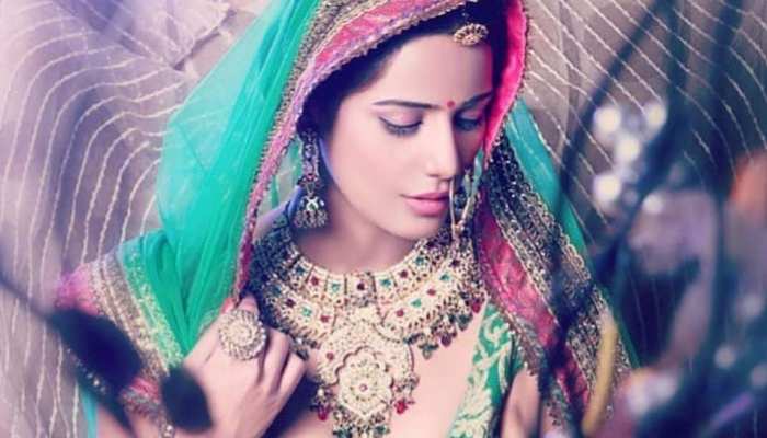 Poonam Pandey trolled for her Transparent dress on Filmfare Awards 2019