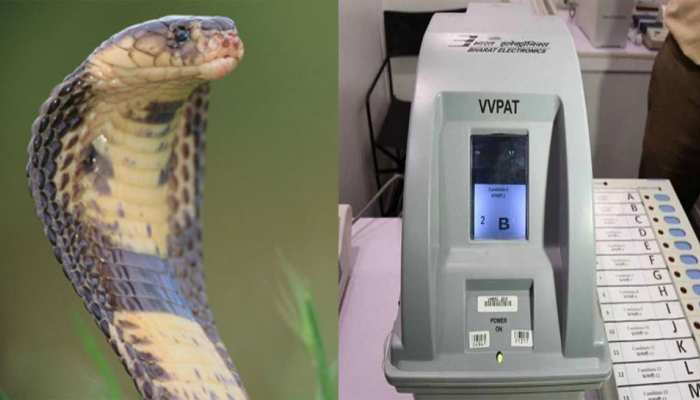 कन्नूर में VVPAT मशीन से निकला सांप, अधिकारी और मतदाताओं में मच गई अफरातफरी कन्नूर में VVPAT मशीन से निकला सांप, अधिकारी और मतदाताओं में मच गई अफरातफरी
