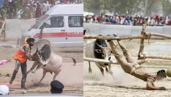 अखिलेश बोले, 'रैली में सांड ज्ञापन देने घुसा, BJP राज में अनाथ सांडों का गुस्सा बढ़ता जा रहा है' अखिलेश बोले, 'रैली में सांड ज्ञापन देने घुसा, BJP राज में अनाथ सांडों का गुस्सा बढ़ता जा रहा है'