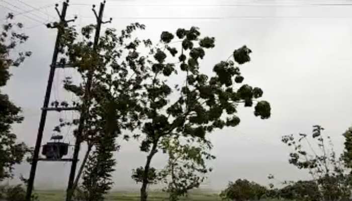 राजस्थान में फोनी चक्रवात के कारण मौसम ने ली करवट, कुछ हिस्सों में हुई बारिश राजस्थान में फोनी चक्रवात के कारण मौसम ने ली करवट, कुछ हिस्सों में हुई बारिश