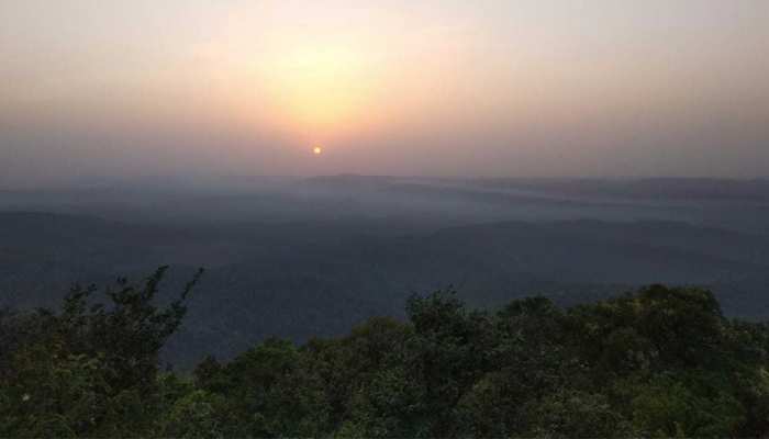 चाईबासा का सारंडा जंगल : कभी नक्सलवाद की जद में था, आज वोटिंग के लिए है तैयार चाईबासा का सारंडा जंगल : कभी नक्सलवाद की जद में था, आज वोटिंग के लिए है तैयार
