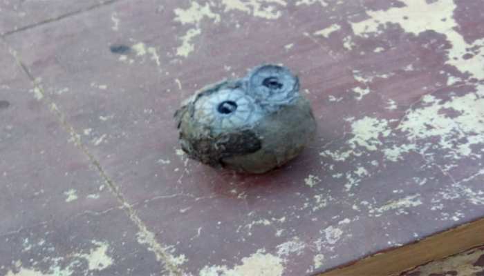 एयरफोर्स बेस के पास मिला विस्फोटक जैसा पदार्थ, चारों ओर मचा हड़कंप