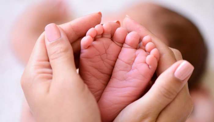 सीकर: जनाना अस्पताल में शुरू हुई प्रीमेच्योर बेबी के लिए कंगारू केयर व्यवस्था सीकर: जनाना अस्पताल में शुरू हुई प्रीमेच्योर बेबी के लिए कंगारू केयर व्यवस्था