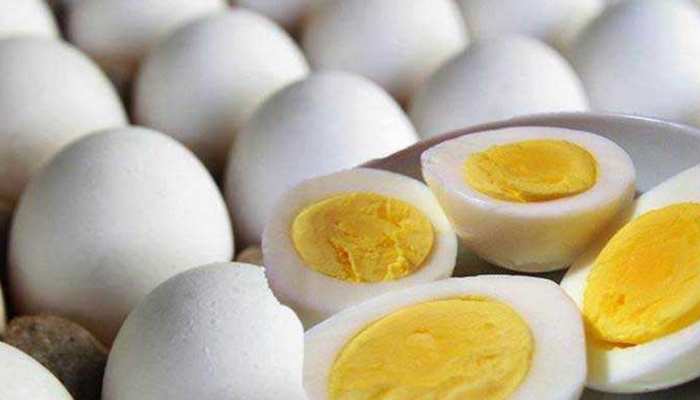 मार्केट में जल्द आने वाला है 'शाकाहारी अंडा', जानें किस चीज से तैयार होगा मार्केट में जल्द आने वाला है 'शाकाहारी अंडा', जानें किस चीज से तैयार होगा