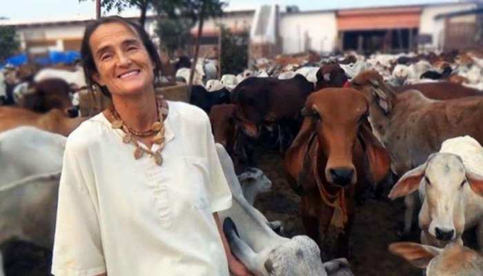 भारत में गौसेवा करती हैं ‘पद्मश्री’ से सम्मानित यह जर्मन महिला, सरकार ने वीजा अवधि 1 साल बढ़ाई भारत में गौसेवा करती हैं ‘पद्मश्री’ से सम्मानित यह जर्मन महिला, सरकार ने वीजा अवधि 1 साल बढ़ाई