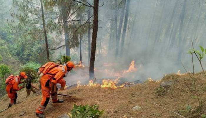 Forest fires continue across uttarakhand, No plan for relief | पिछले 1  महीने से जल रहे हैं उत्‍तराखंड के जंगल, सरकार के पास राहत का कोई प्‍लान  नहीं | Hindi News, यूपी एवं ...