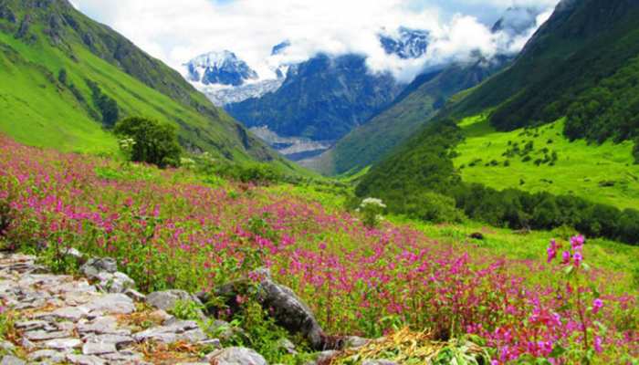 आज से पर्यटकों के लिए खुल गई फूलों की घाटी, जानें कितना हो प्रवेश शुल्क आज से पर्यटकों के लिए खुल गई फूलों की घाटी, जानें कितना हो प्रवेश शुल्क