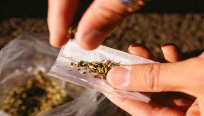 छत्तीसगढ़ में 300 किलोग्राम गांजा जब्त, तीन तस्कर गिरफ्तार छत्तीसगढ़ में 300 किलोग्राम गांजा जब्त, तीन तस्कर गिरफ्तार