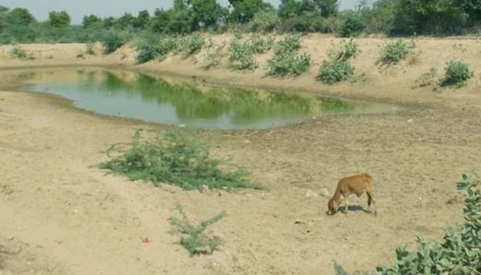 डिंडौरी में नहीं कम हो रहा जल संकट, गांवों में लोग नदी में खुदाई करके कर रहे हैं पानी का इंतजाम डिंडौरी में नहीं कम हो रहा जल संकट, गांवों में लोग नदी में खुदाई करके कर रहे हैं पानी का इंतजाम