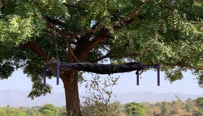 गुजरात के साबरकांठा में 6 महीने से पेड़ पर लटकी है एक लाश, जानें पूरा मामला गुजरात के साबरकांठा में 6 महीने से पेड़ पर लटकी है एक लाश, जानें पूरा मामला