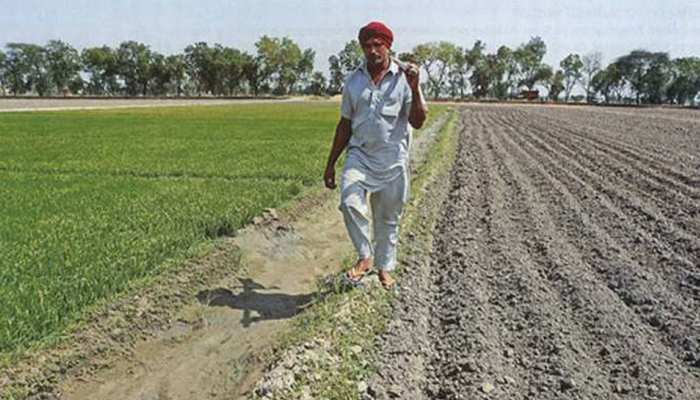 महाराष्ट्र: पिछले वित्त वर्ष की तुलना में 8 प्रतिशत फसल उत्पादन के गिरावट का अनुमान महाराष्ट्र: पिछले वित्त वर्ष की तुलना में 8 प्रतिशत फसल उत्पादन के गिरावट का अनुमान