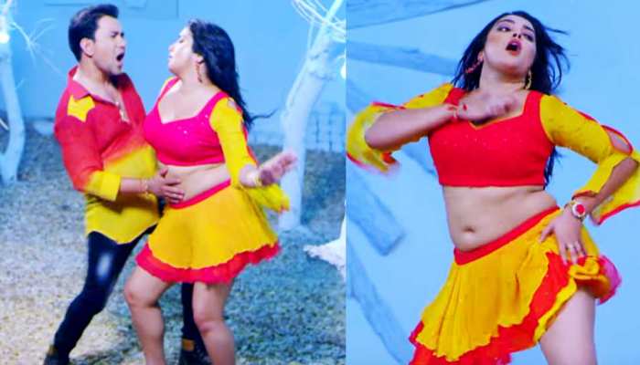 निरहुआ और आम्रपाली दुबे का यह VIDEO सोशल मीडिया पर मचा रहा तहलका निरहुआ और आम्रपाली दुबे का यह VIDEO सोशल मीडिया पर मचा रहा तहलका