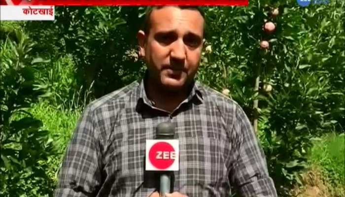 Fungal threats on apple crops in Himachal Pradesh