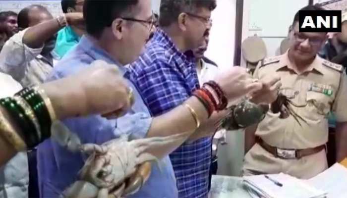महाराष्ट्र: मंत्री ने बांध टूटने के लिए केंकड़ों को बताया जिम्मेदार तो NCP ने कहा-दर्ज करो मुकद्मा महाराष्ट्र: मंत्री ने बांध टूटने के लिए केंकड़ों को बताया जिम्मेदार तो NCP ने कहा-दर्ज करो मुकद्मा