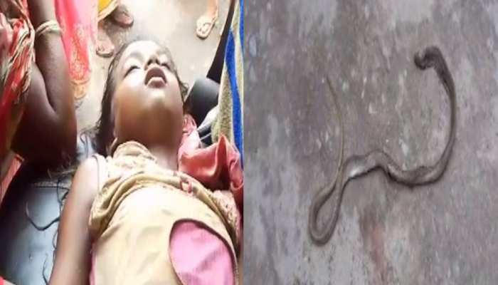 अंधविश्वासः सांप काटने के बाद इलाज के बजाए ले गए विषहरी स्थान, चली गई बच्ची की जान अंधविश्वासः सांप काटने के बाद इलाज के बजाए ले गए विषहरी स्थान, चली गई बच्ची की जान
