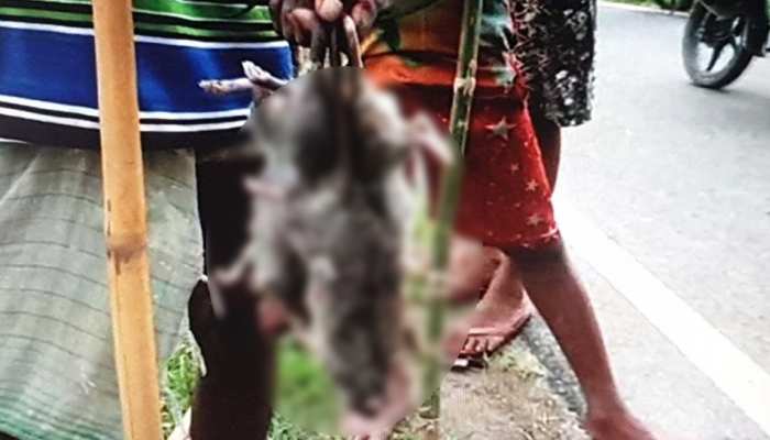 कटिहार : बाढ़ से प्रभावित लोगों को नहीं मिल रहा खाना, चूहा खाने को हुए मजबूर कटिहार : बाढ़ से प्रभावित लोगों को नहीं मिल रहा खाना, चूहा खाने को हुए मजबूर