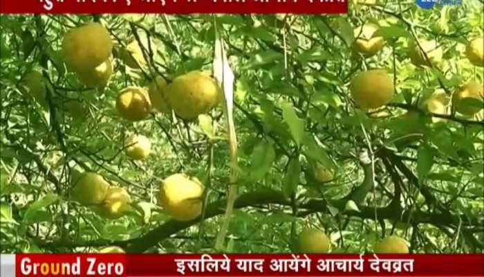 Acharya Devvrat introduced Zero Budget Farming to Himachal Farmers